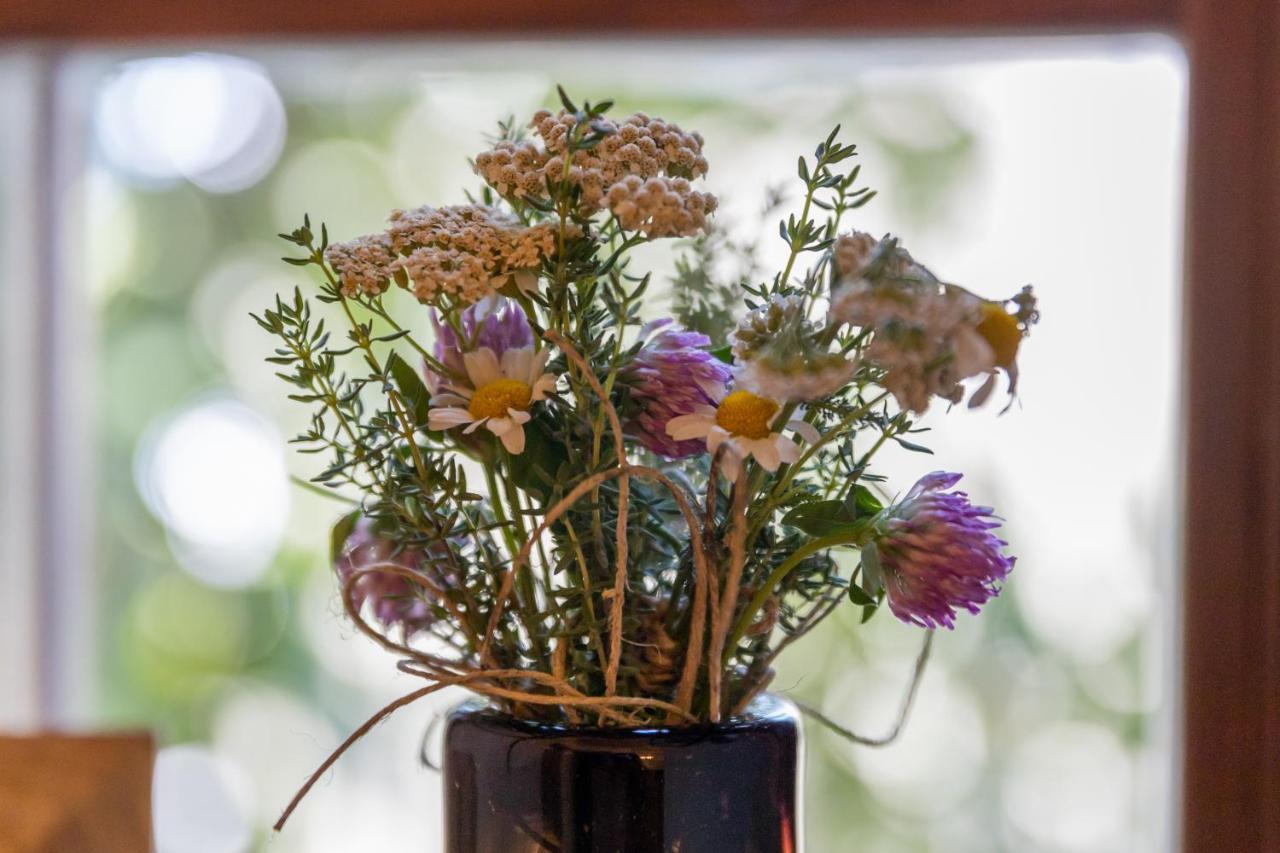 Egercottages - Rose Eger